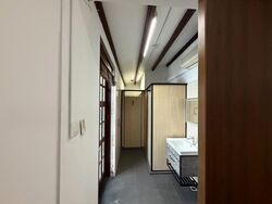 Bukit Pasoh Conservation Area (D2), Shop House #624603461